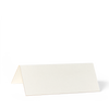 Large Tented Place Cards