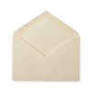 Plain Envelopes