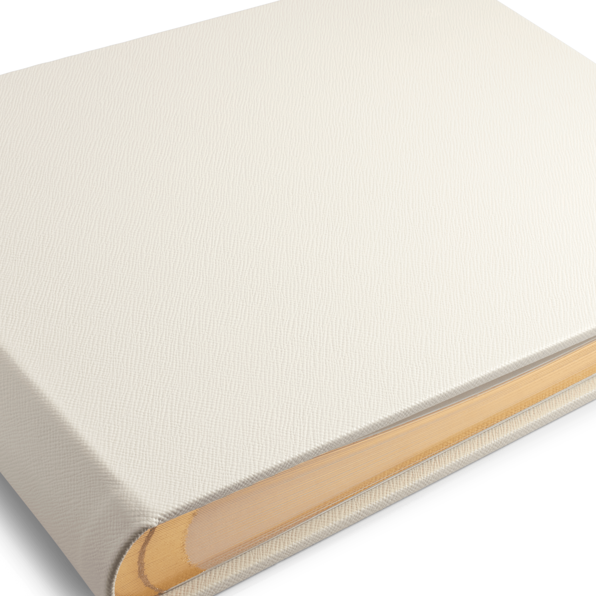 Large Photo Album in Panama - Chalk
