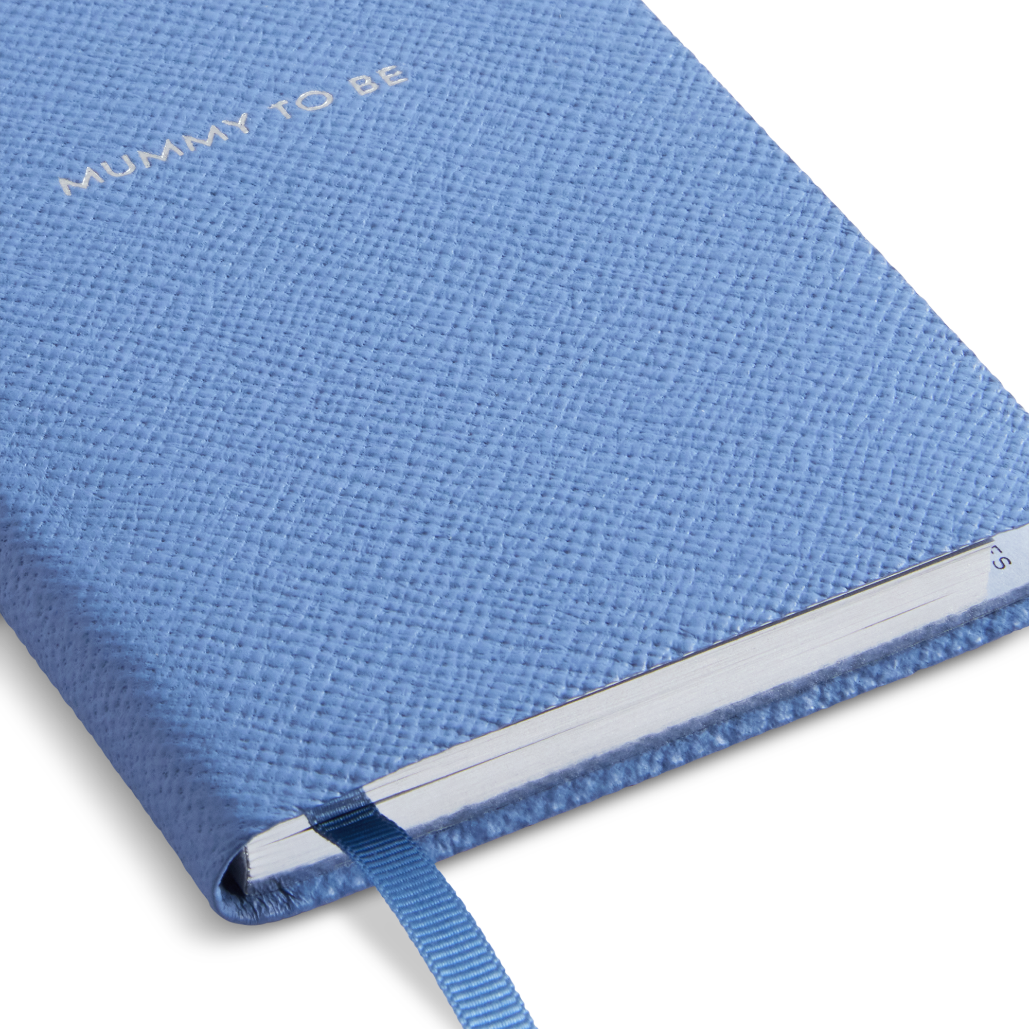 Mummy To Be Panama Notebook - Nile Blue