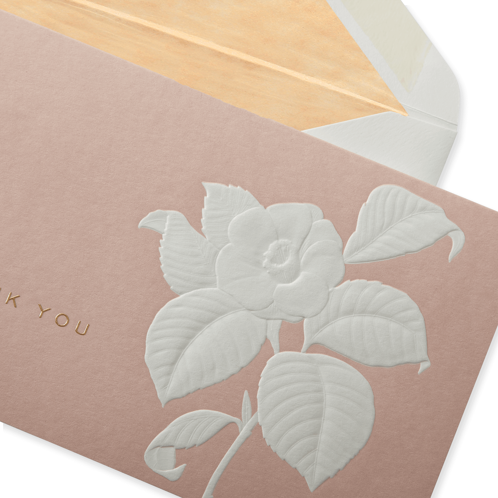Camelia Thank You Notelets - Camelia Pink