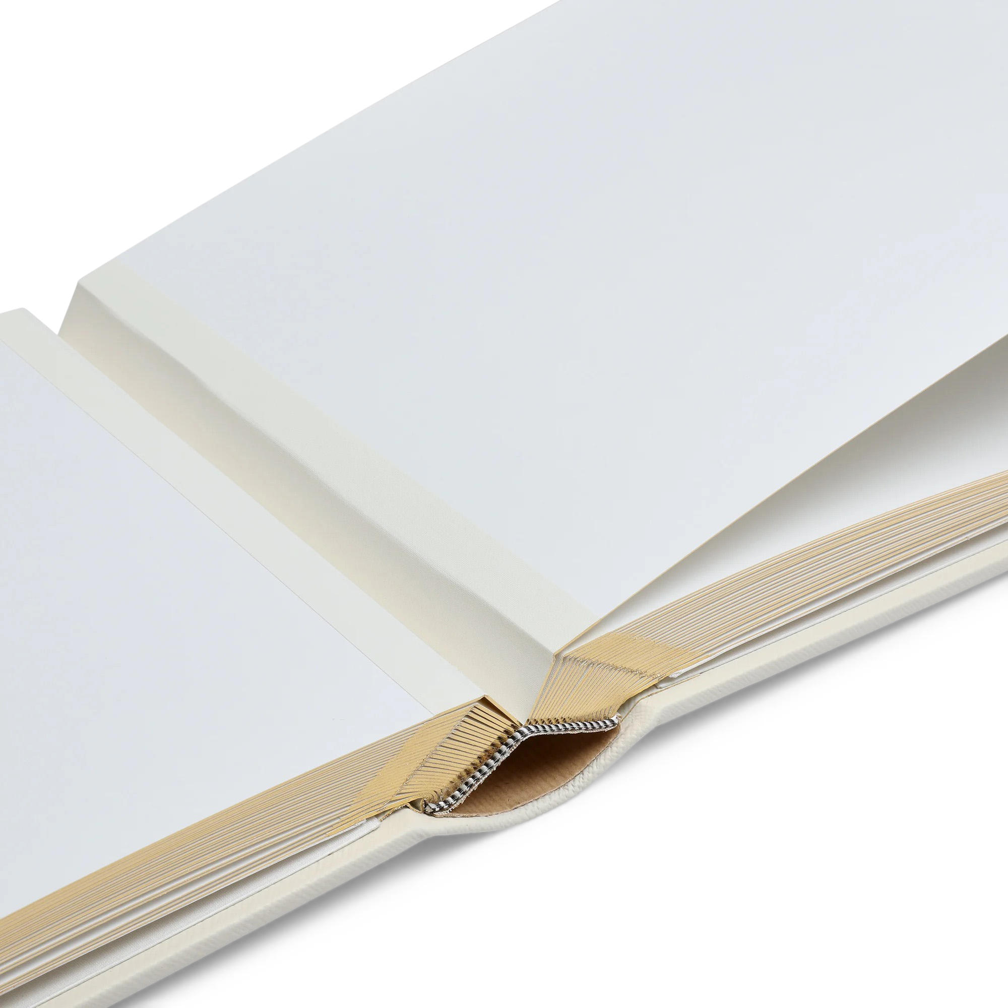 Medium Photo Album in Panama