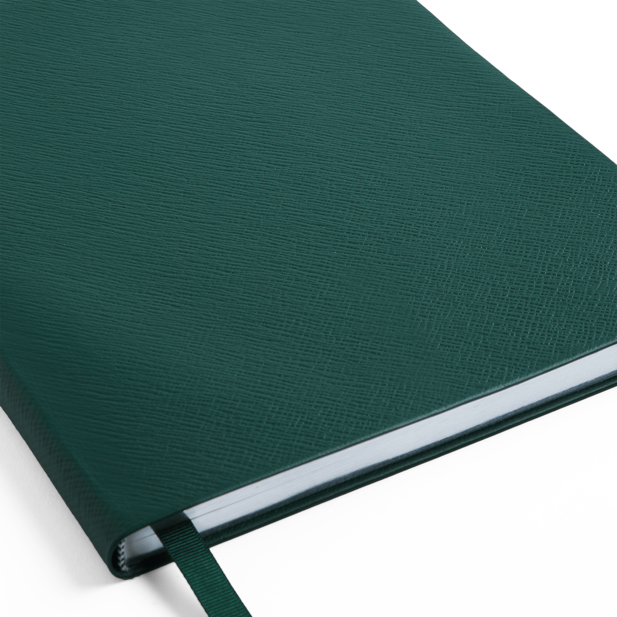 Portobello Notebook in Panama - Forest