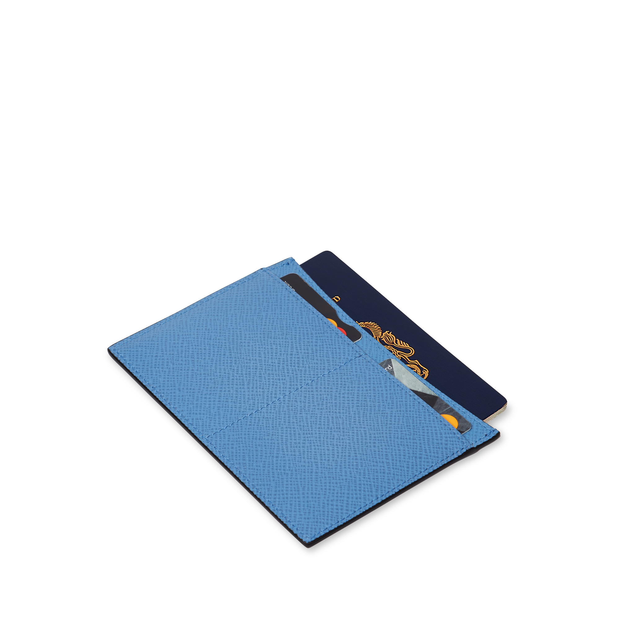 Passport Sleeve in Panama - Nile Blue