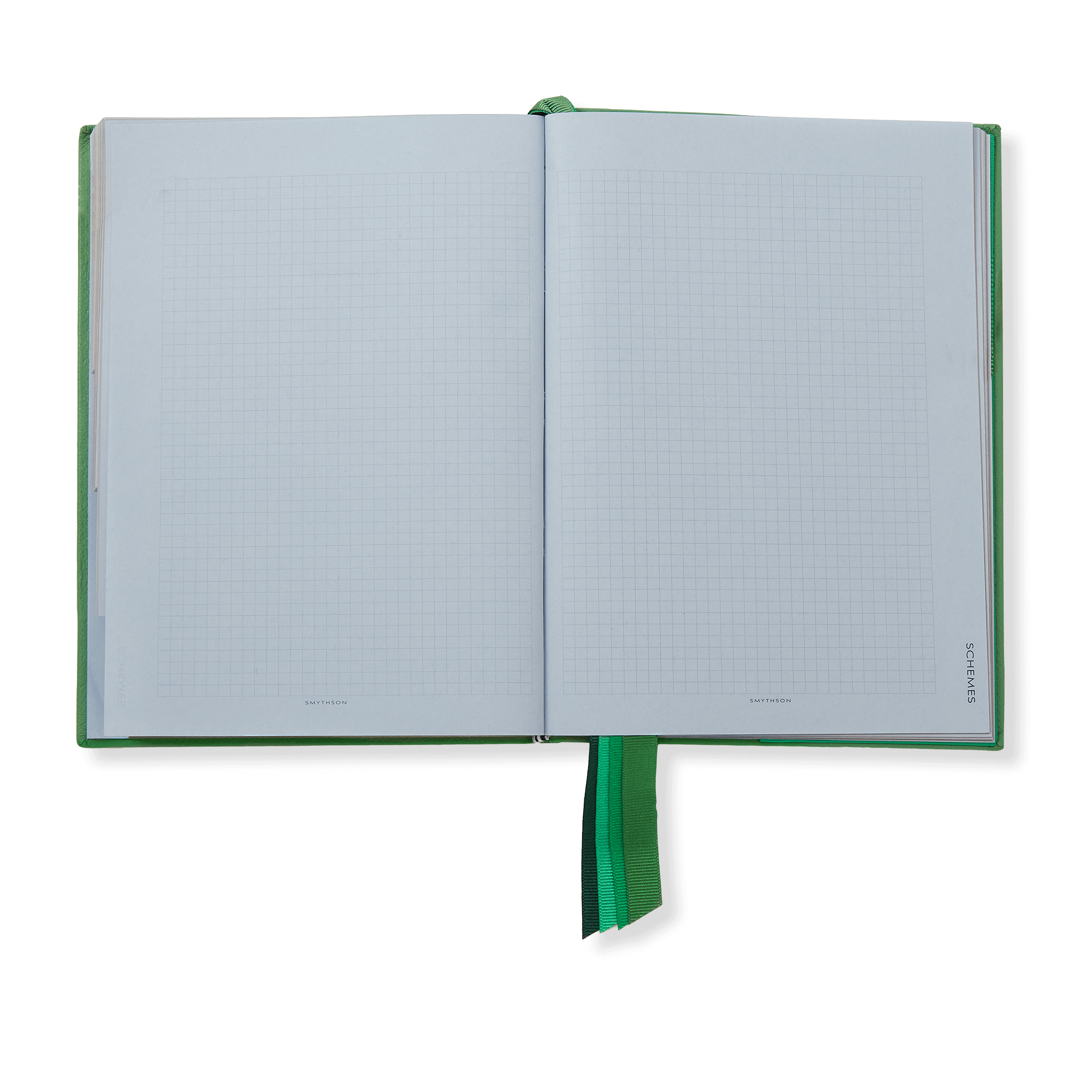 The Gardening Journal in Panama - Pea Green