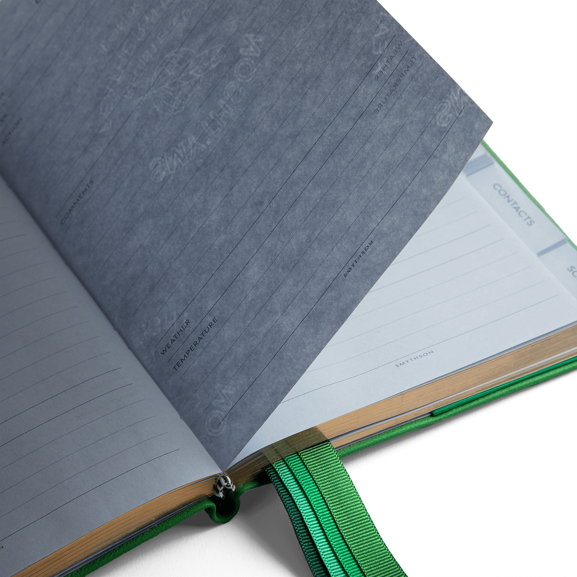 The Gardening Journal in Panama - Pea Green