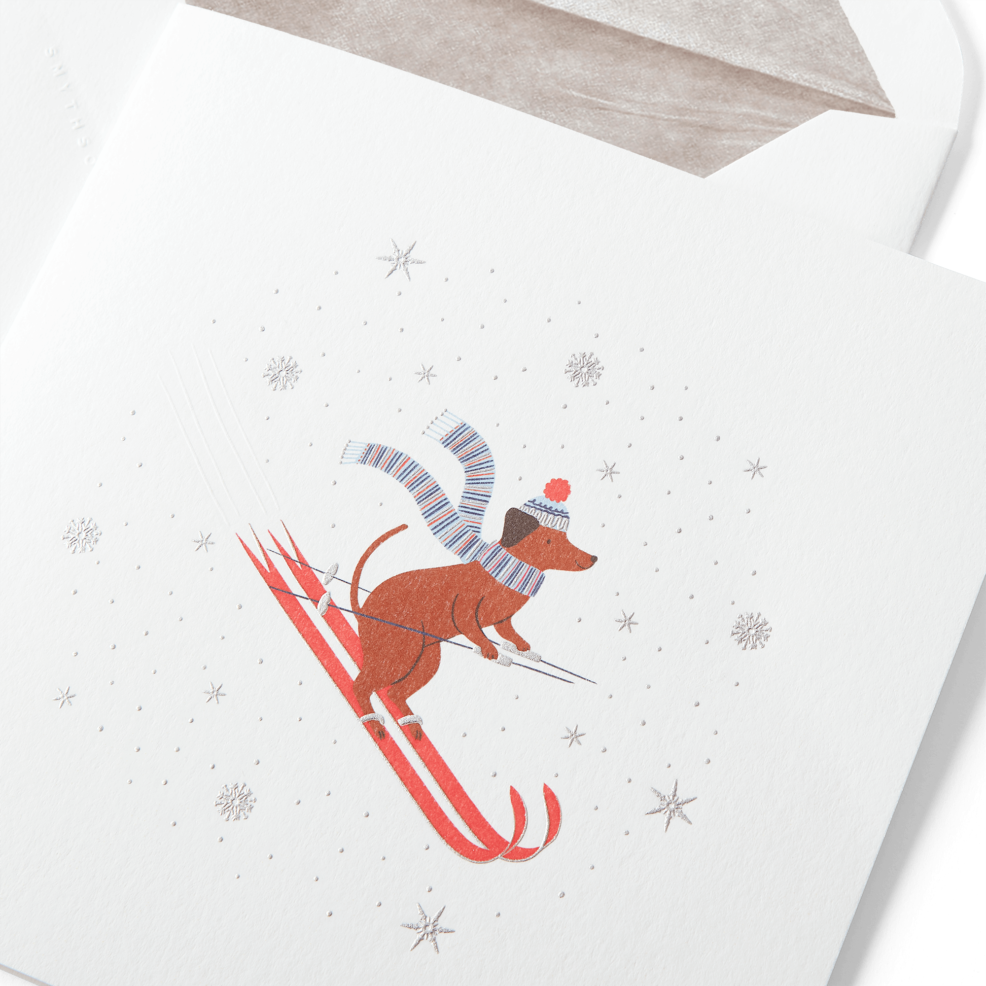 Christmas Dog Skiing Card Set