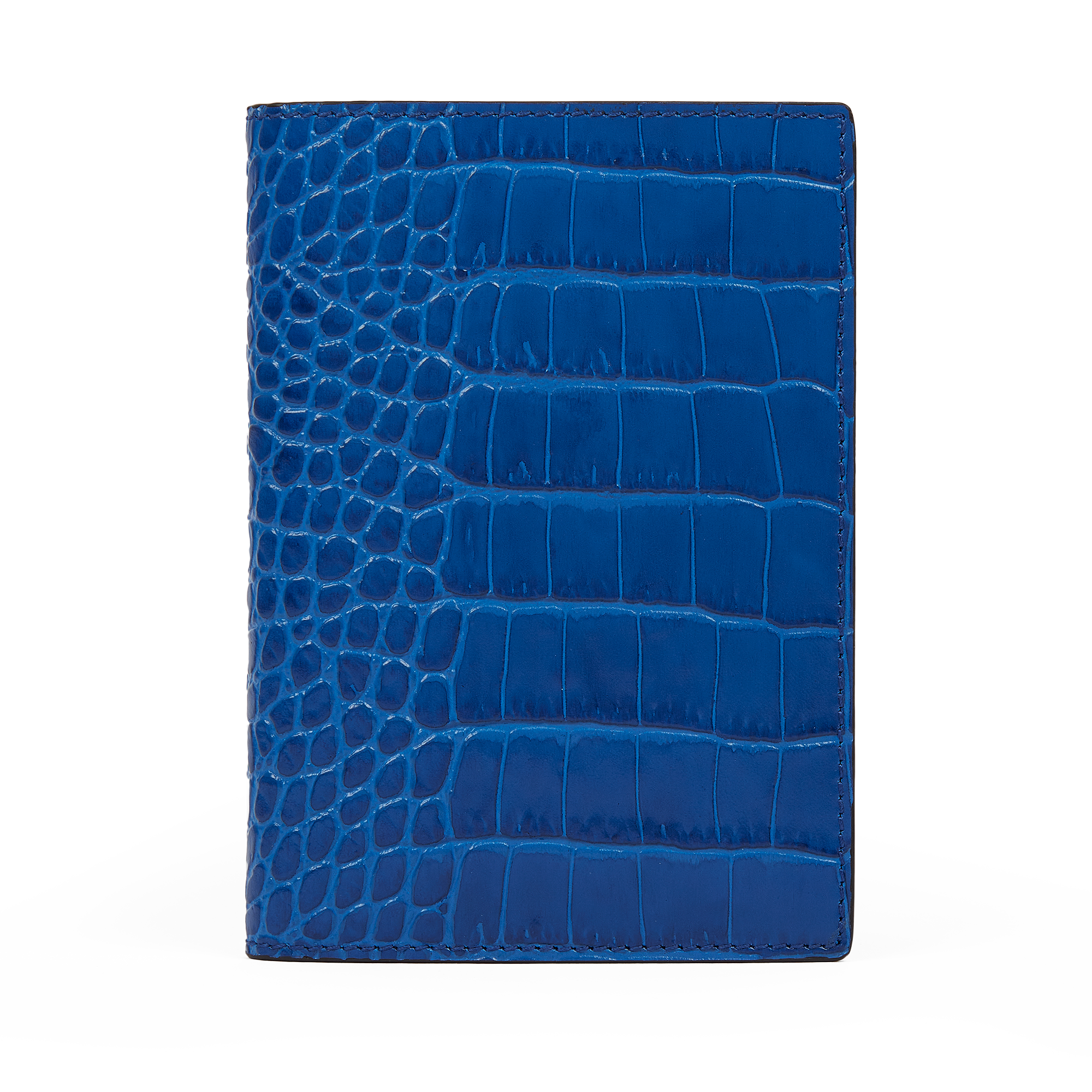 Passport Cover in Mara - Cerulean