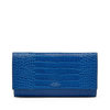 Marshall Travel Wallet in Mara