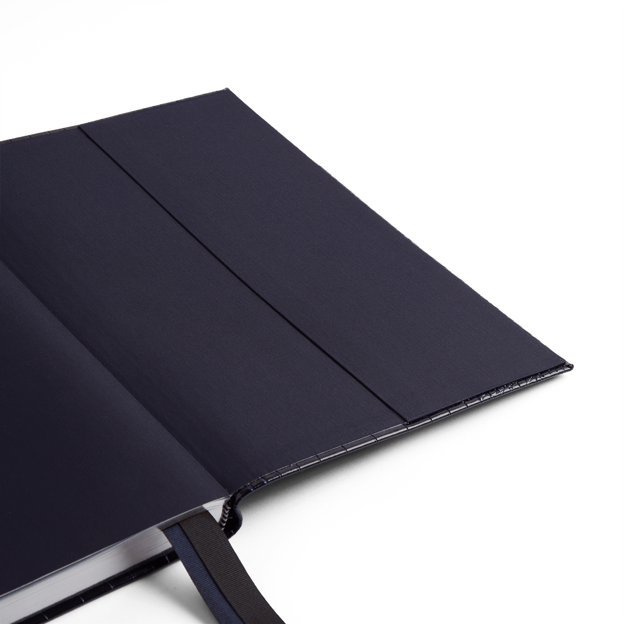 2026 W1 Diary in Mara - Nile Blue