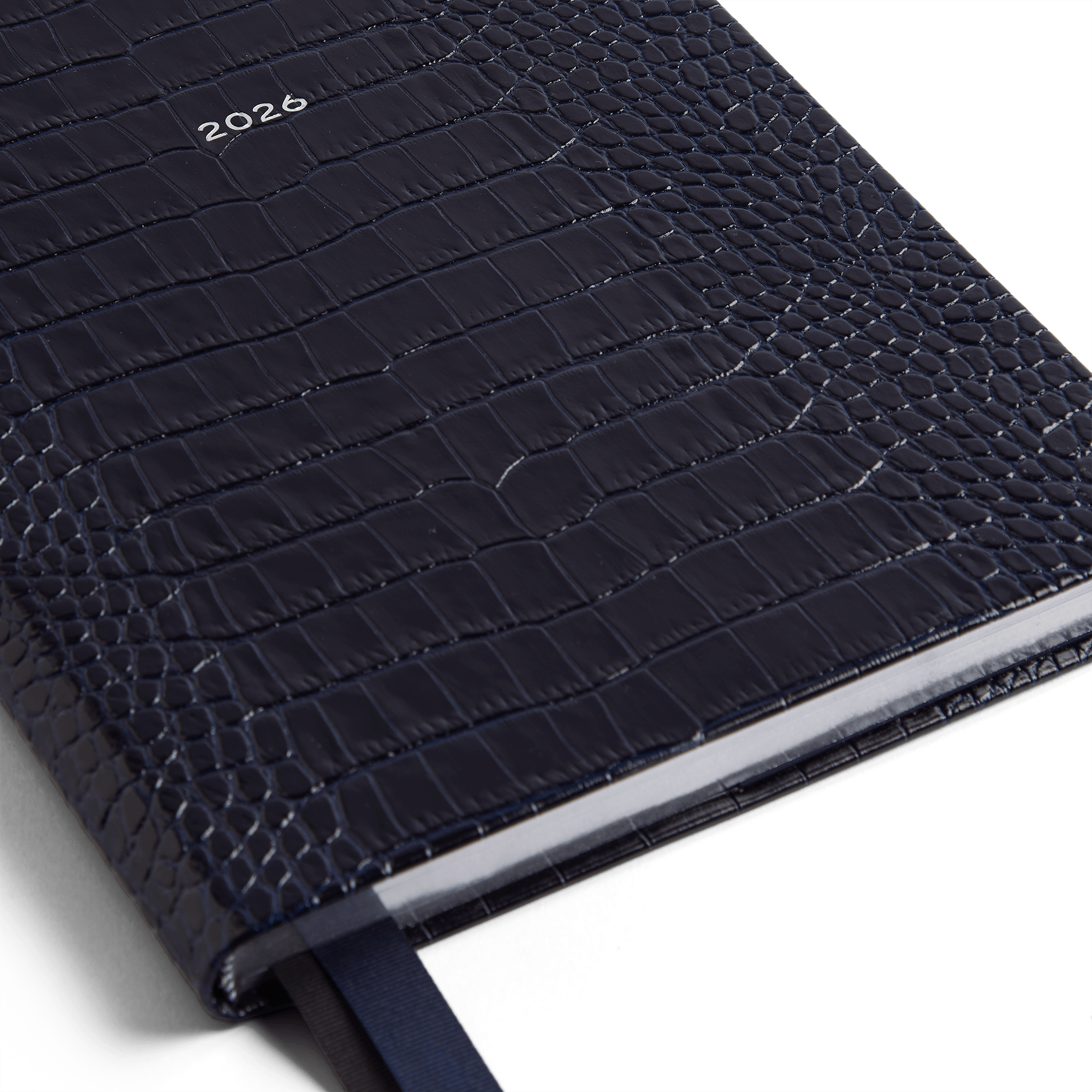 2026 W1 Diary in Mara - Nile Blue
