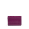 Folded Card Case with Snap Closure in Mara