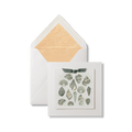 Sea Shells Greeting Card