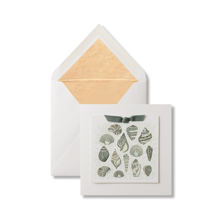 Sea Shells Greeting Card
