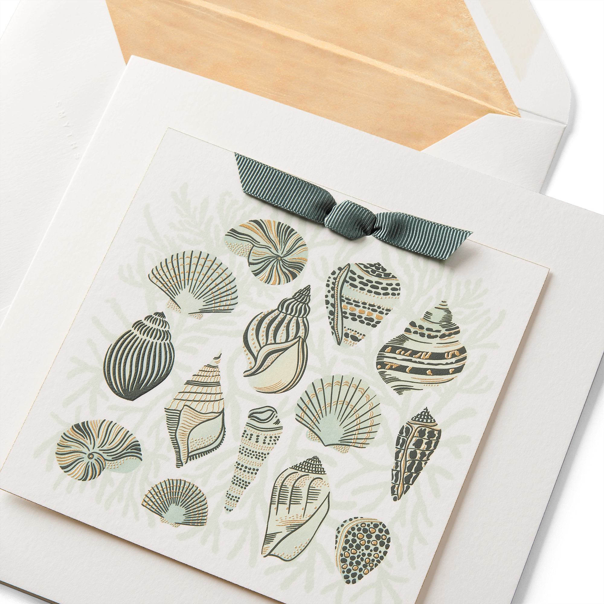 Sea Shells Greeting Card