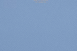 Leather Type