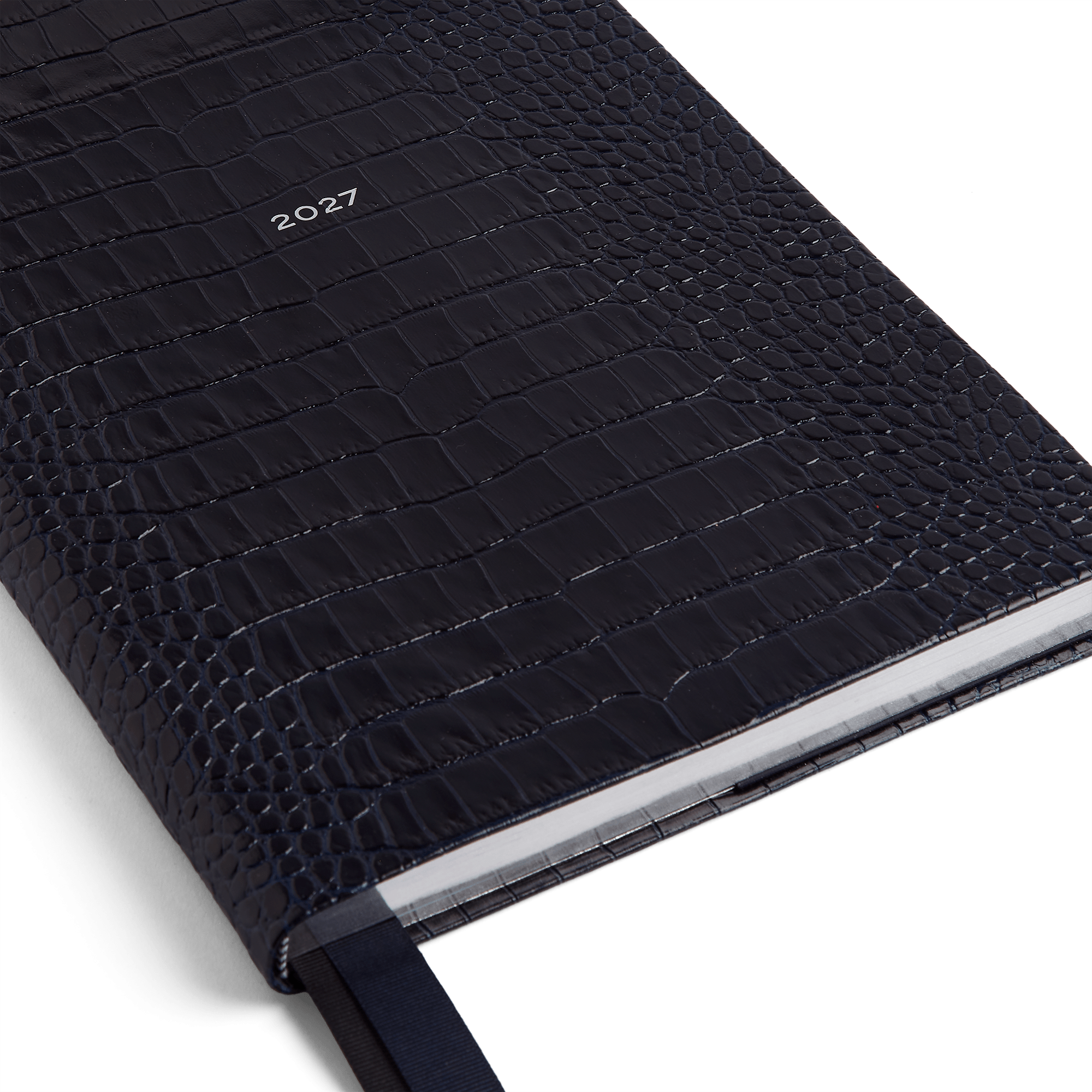2026 W1 Diary in Mara - Nile Blue