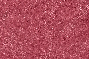 Leather Type