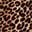 Leopard colour swatch