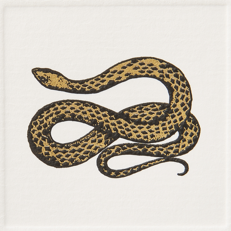 Snake Notelets