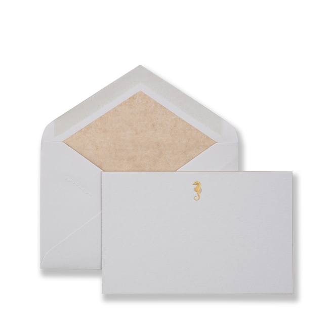 Seahorse Correspondence Cards