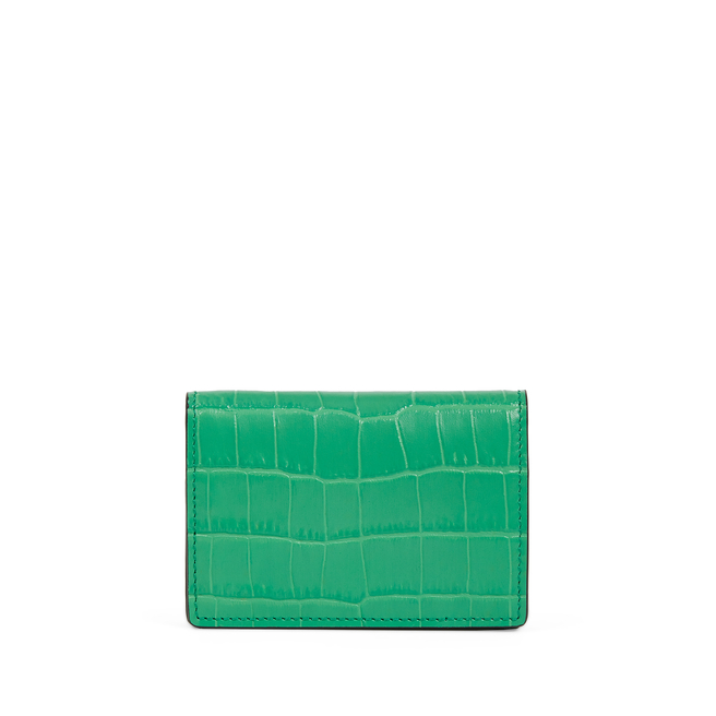 Folded Card Case with Snap Closure in Mara