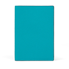 Passport Cover in Panama