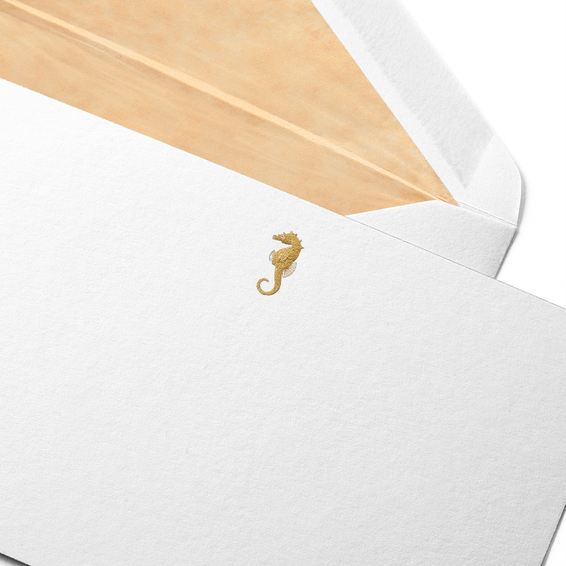 Seahorse Correspondence Cards