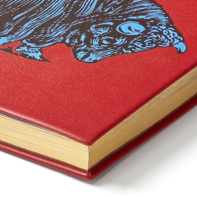 Animal Bull Panama Notebook