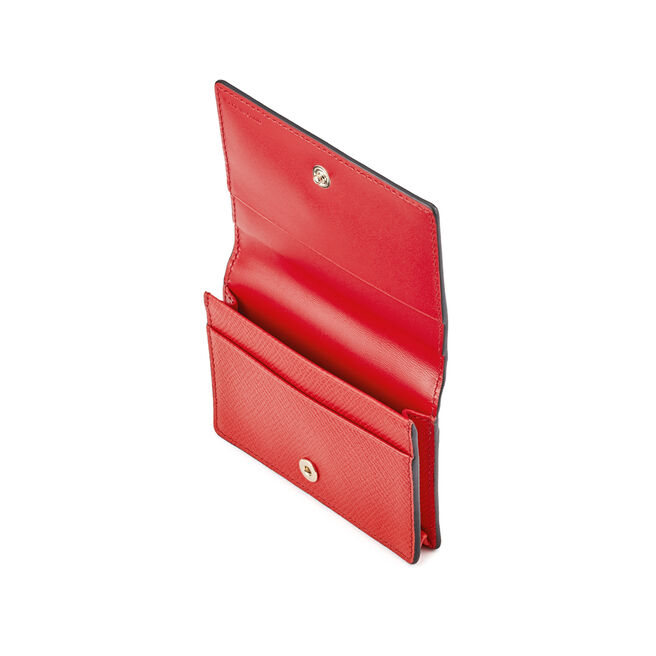 Panama Business and Credit Card Case