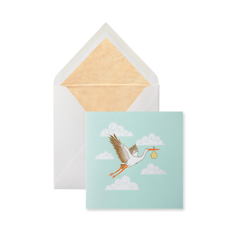 Stork Birth Greeting Card
