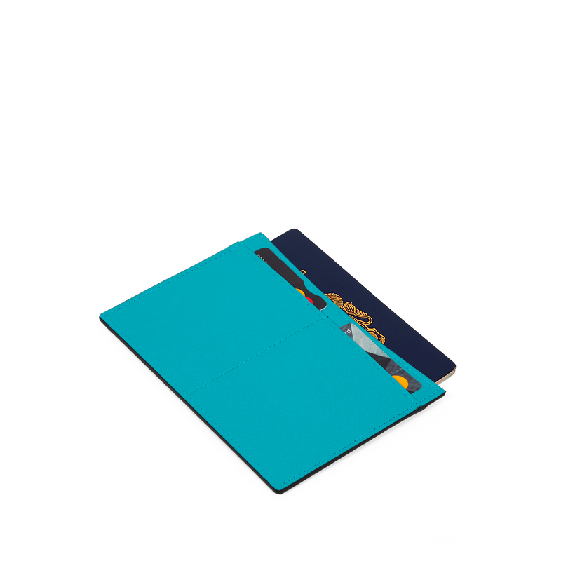 Passport Sleeve in Panama