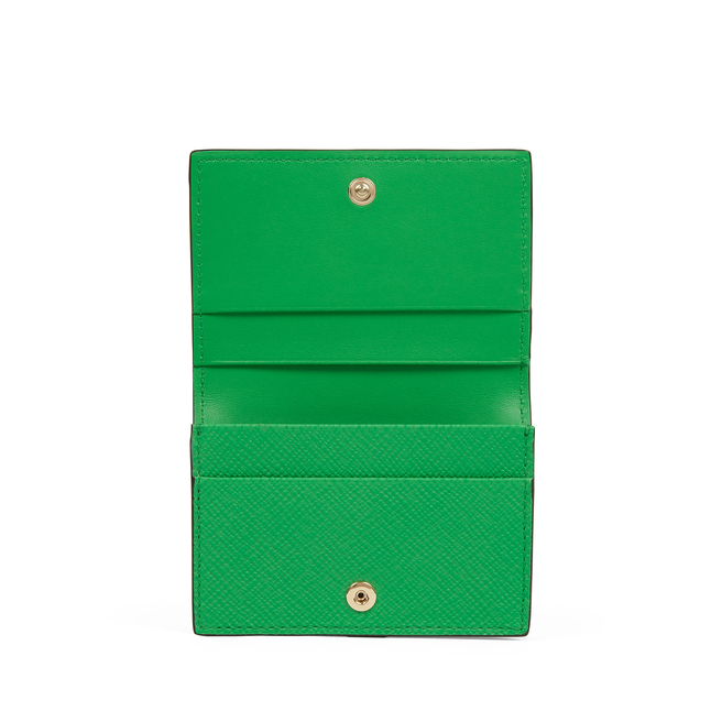 Folded Card Case with Snap Closure in Panama