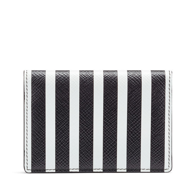 Panama Business and Credit Card Case
