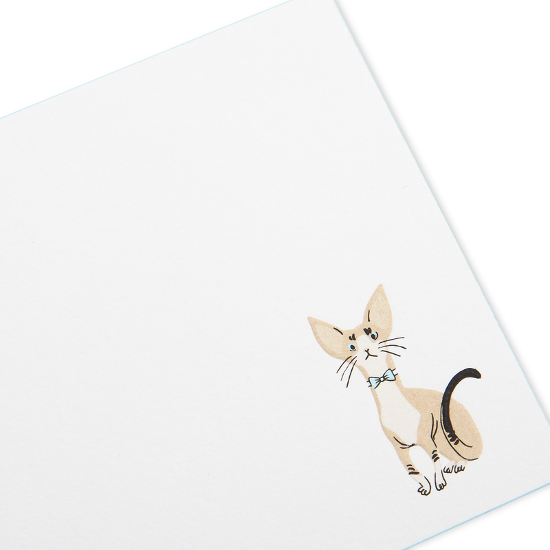 Devon Rex Cat Motif Correspondence Card Set