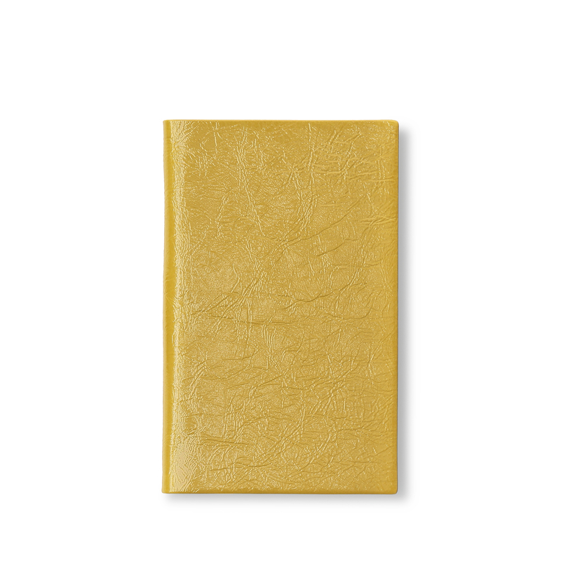 Panama Notebook