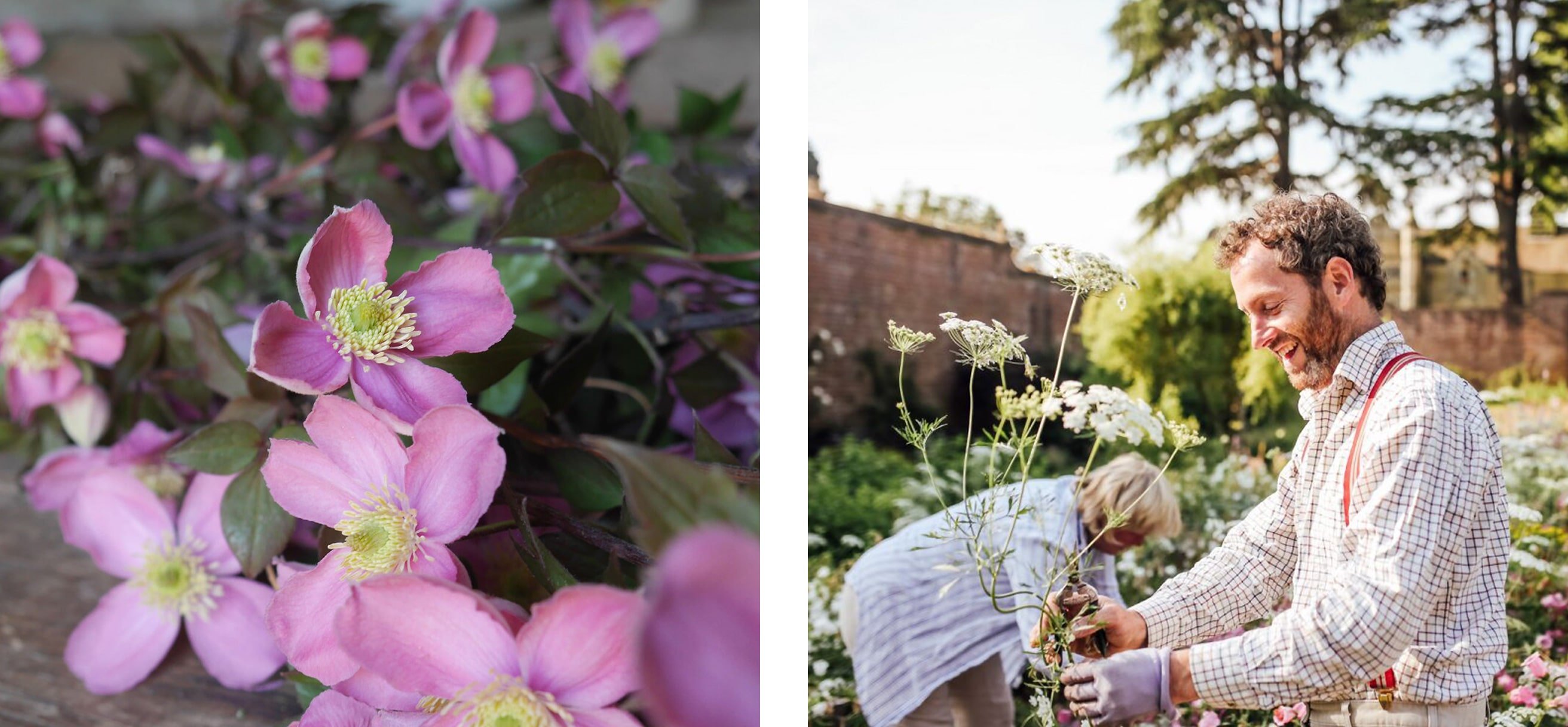 Stokesay Flowers | Smythson Stokesay Flowers | Smythson