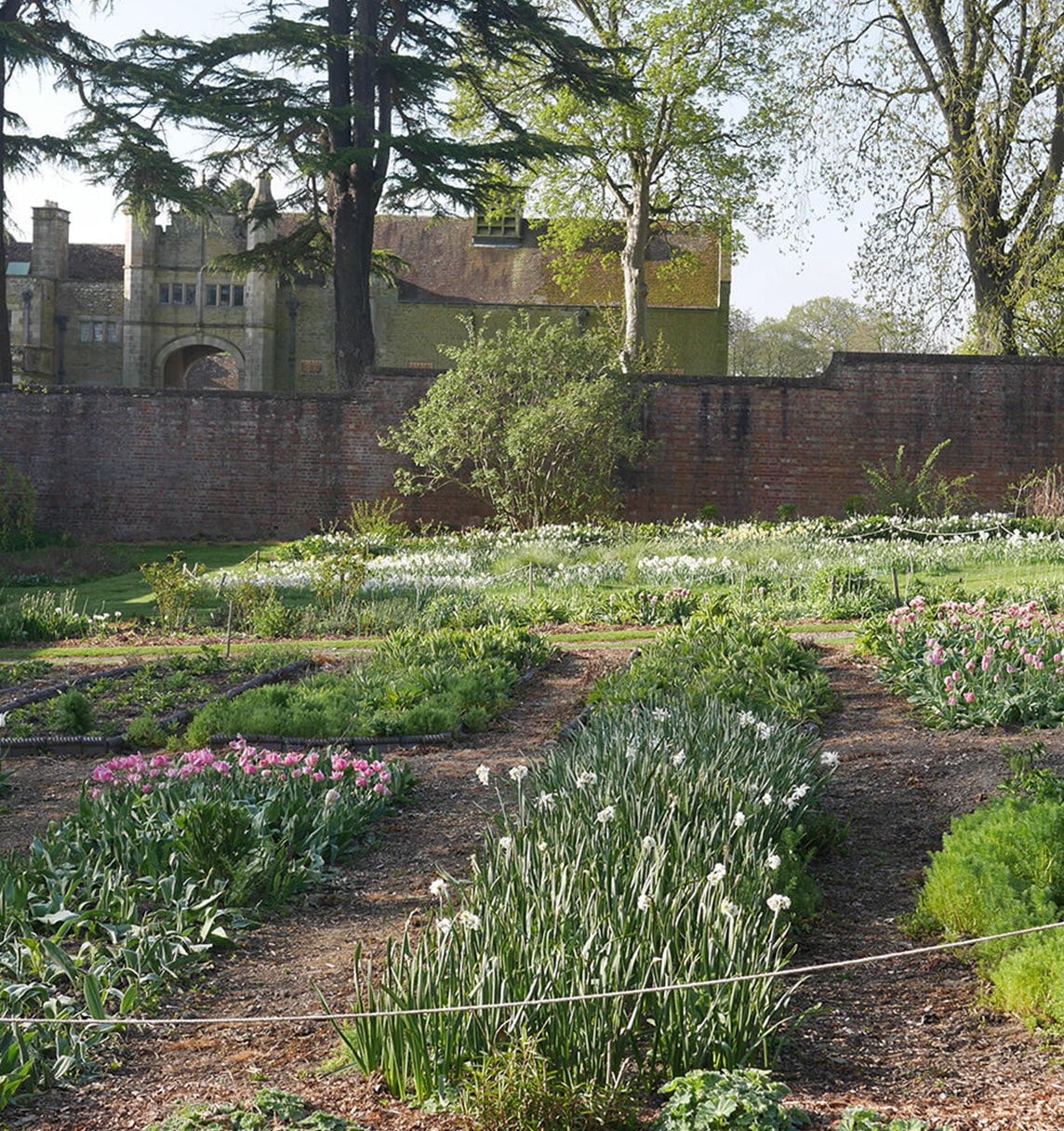 Stokesay Flowers | Smythson Stokesay Flowers | Smythson